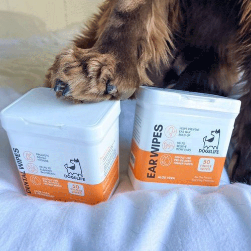 Dogslife - Ear Wipes - 50 pieces
