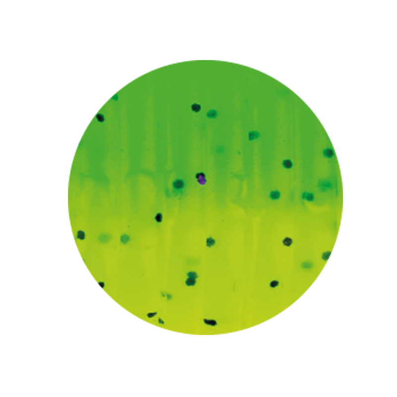 Zeck Drag Tail (Acid Green)