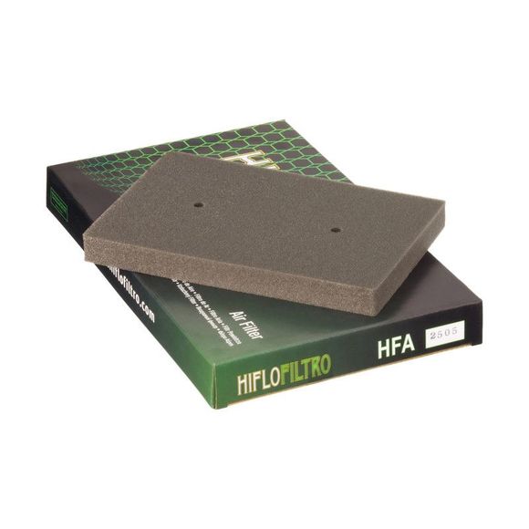 Filtre à air HifloFiltro HFA2505 type OrigineRef : A2505 / 10112682