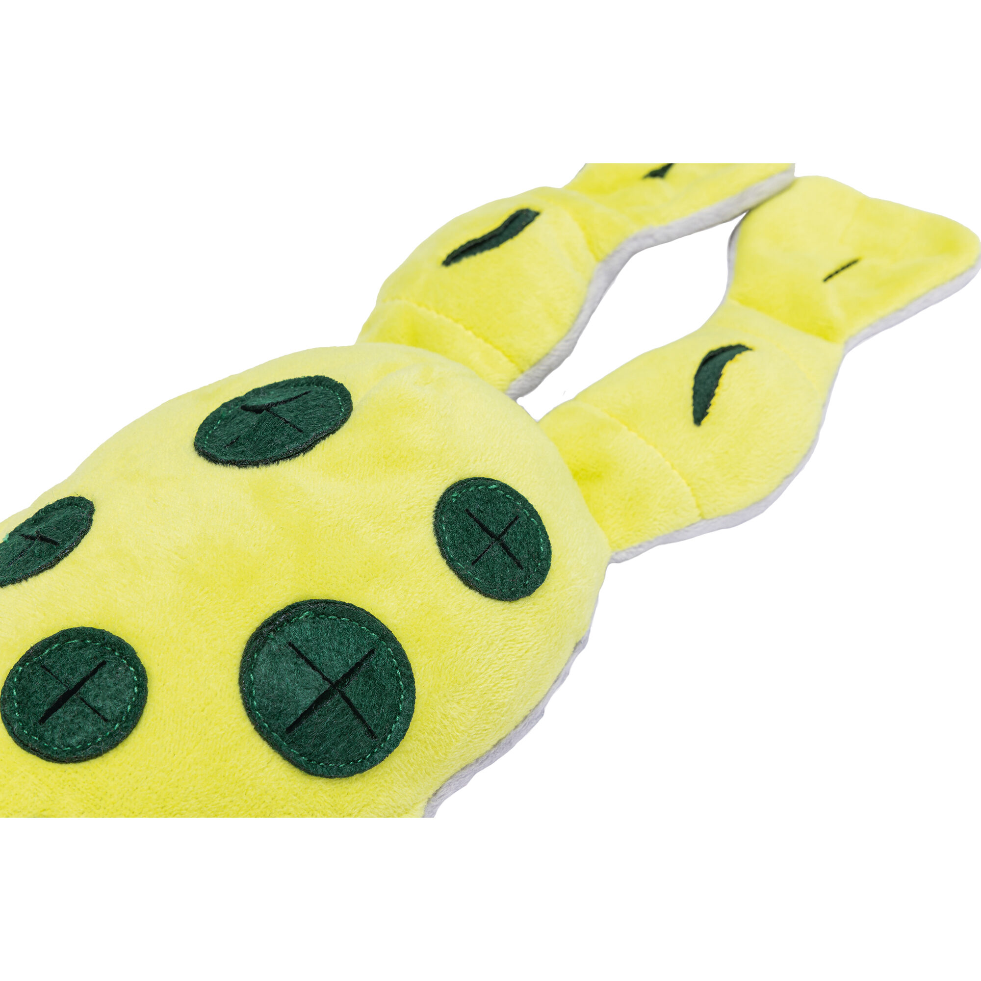 Beeztees Hide And Seek Frog