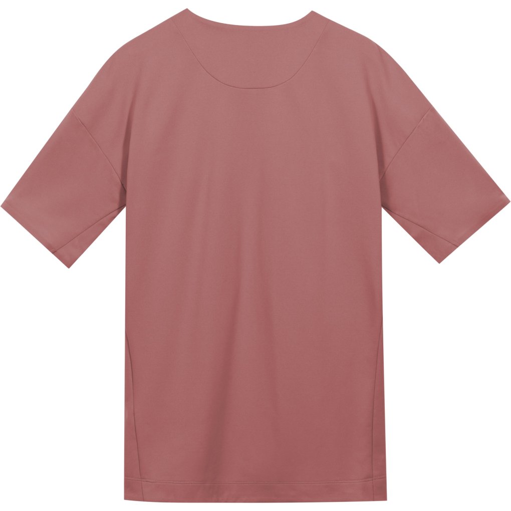 GOREWEAR Fernflow Tee Men - lab rose DL00