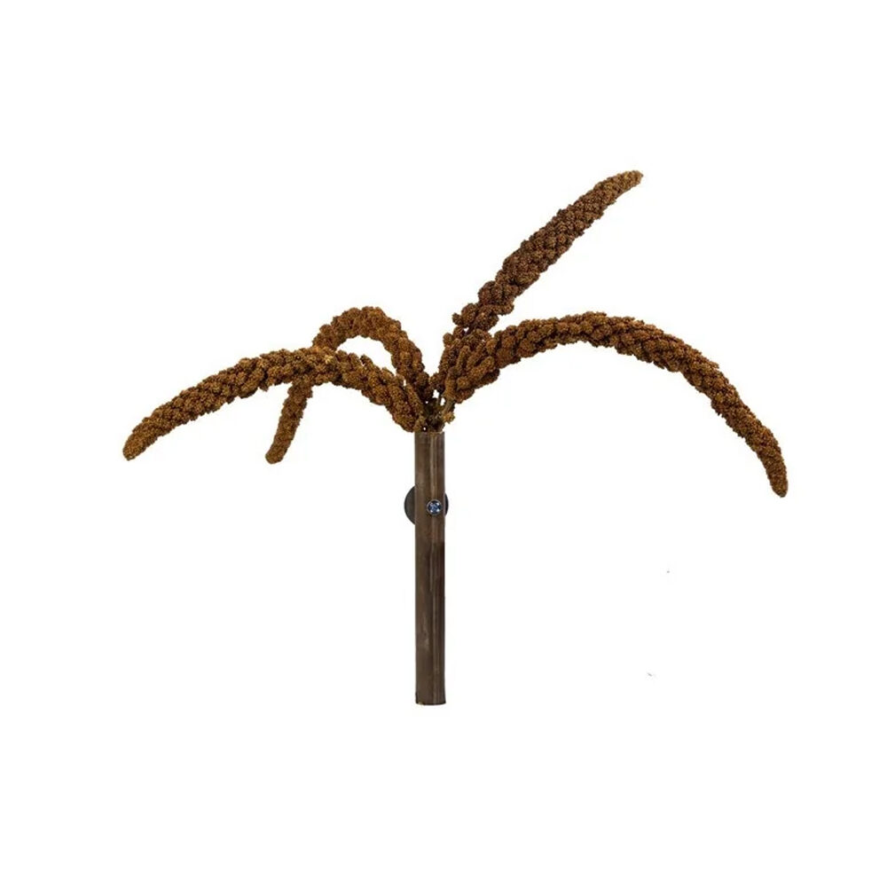 Back Zoo Nature French Millet Sprays - Red - 150 grams