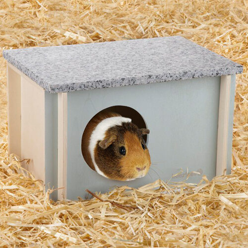 Beeztees Rodent Cooling House Cico - 15 x 13 x 9 cm