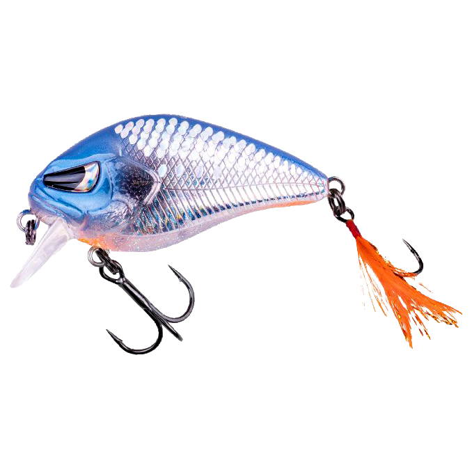 Zeck Danny (Ukki BA)