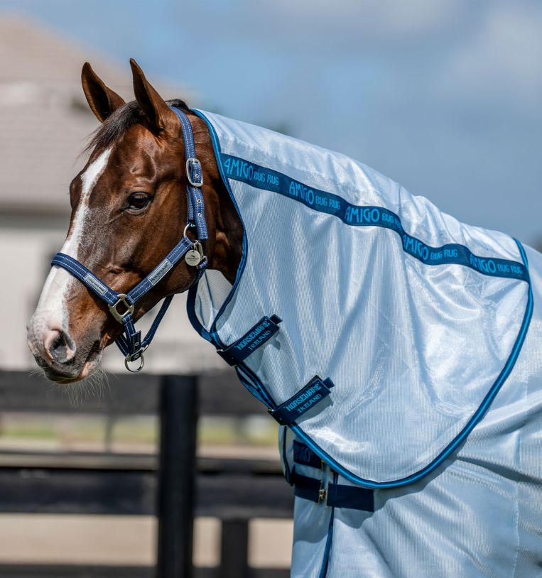 Amigo® Bug Rug Plus Fly Sheet