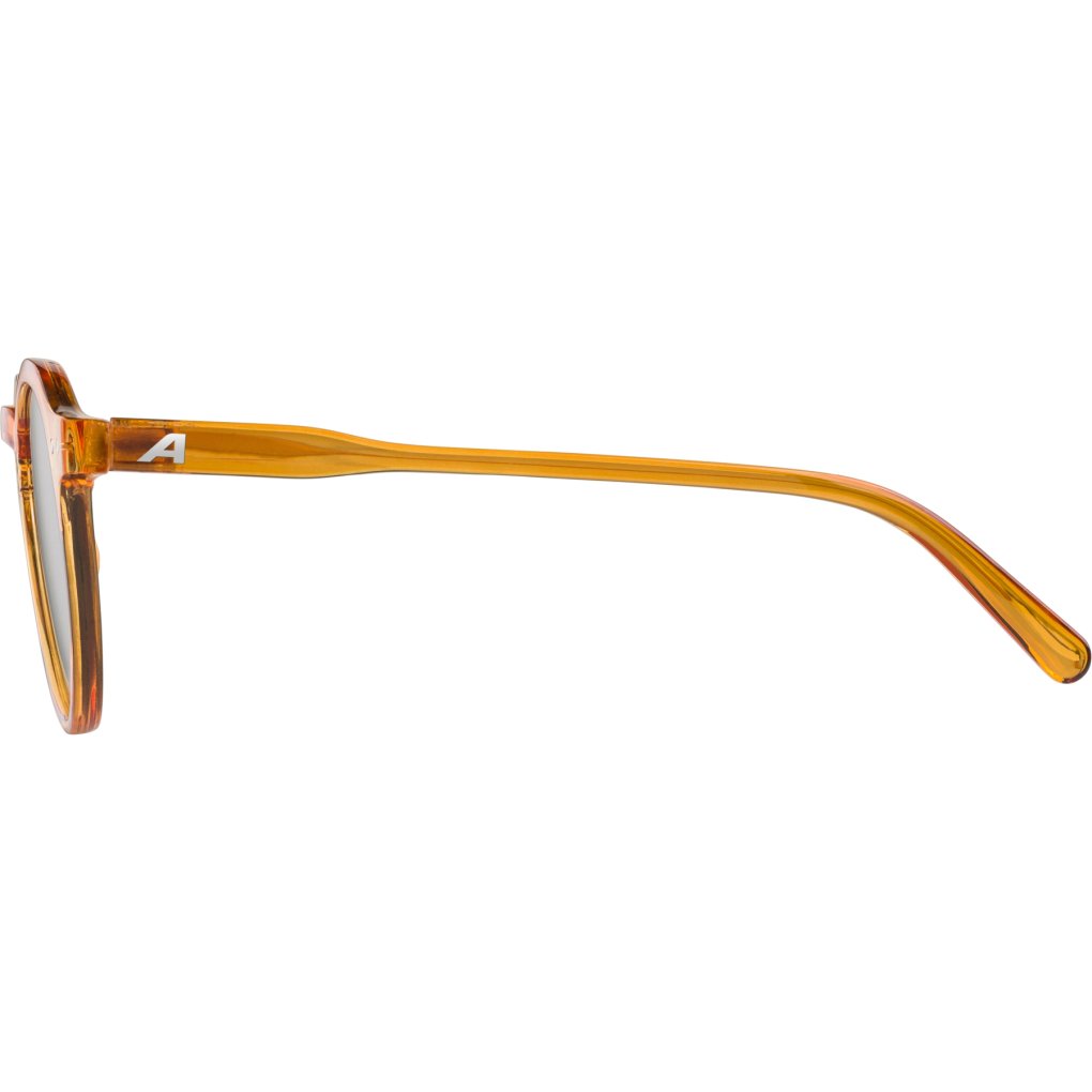 Alpina Sneek Glasses - burrow-transparent gloss/blue