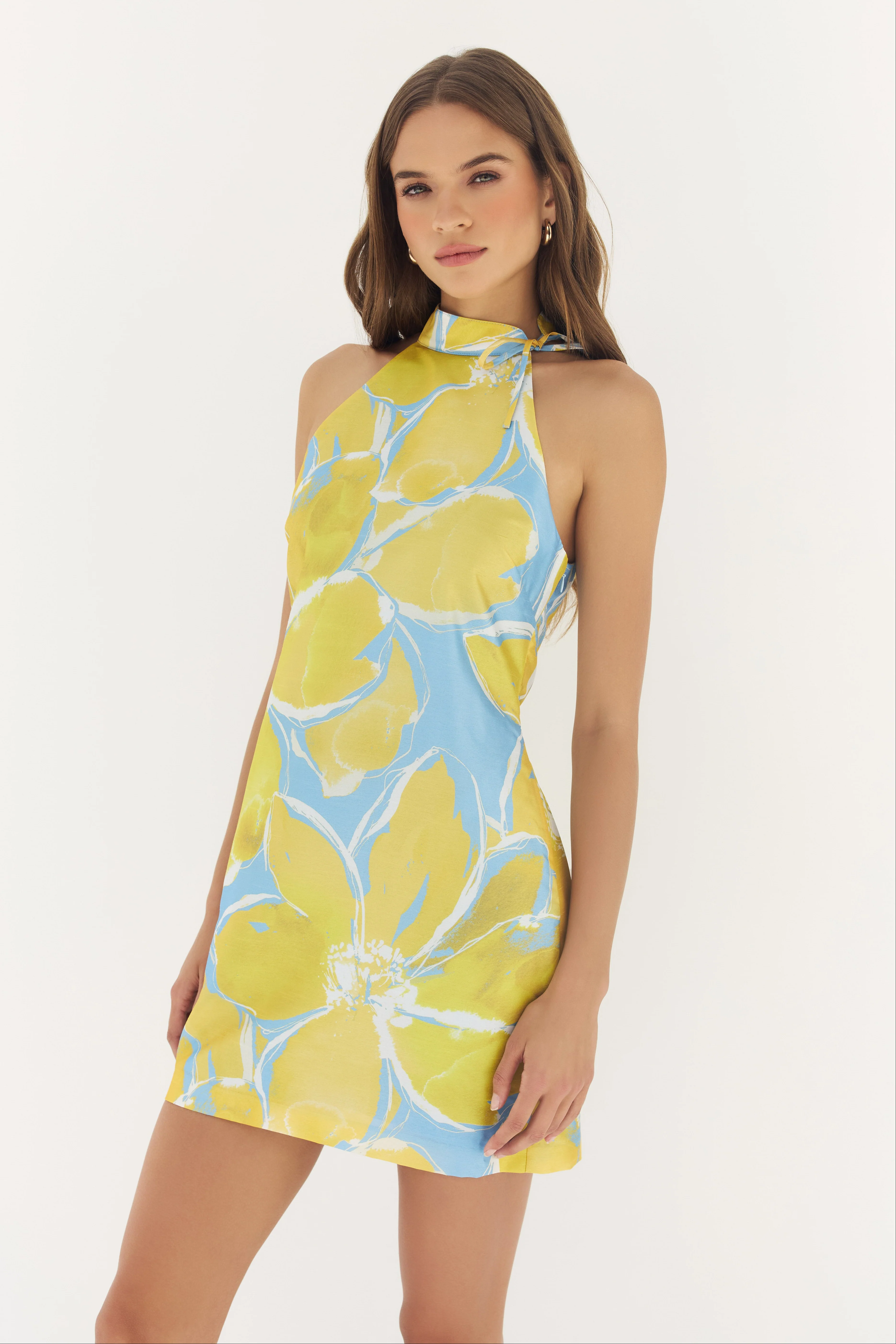 Nami Mini Dress