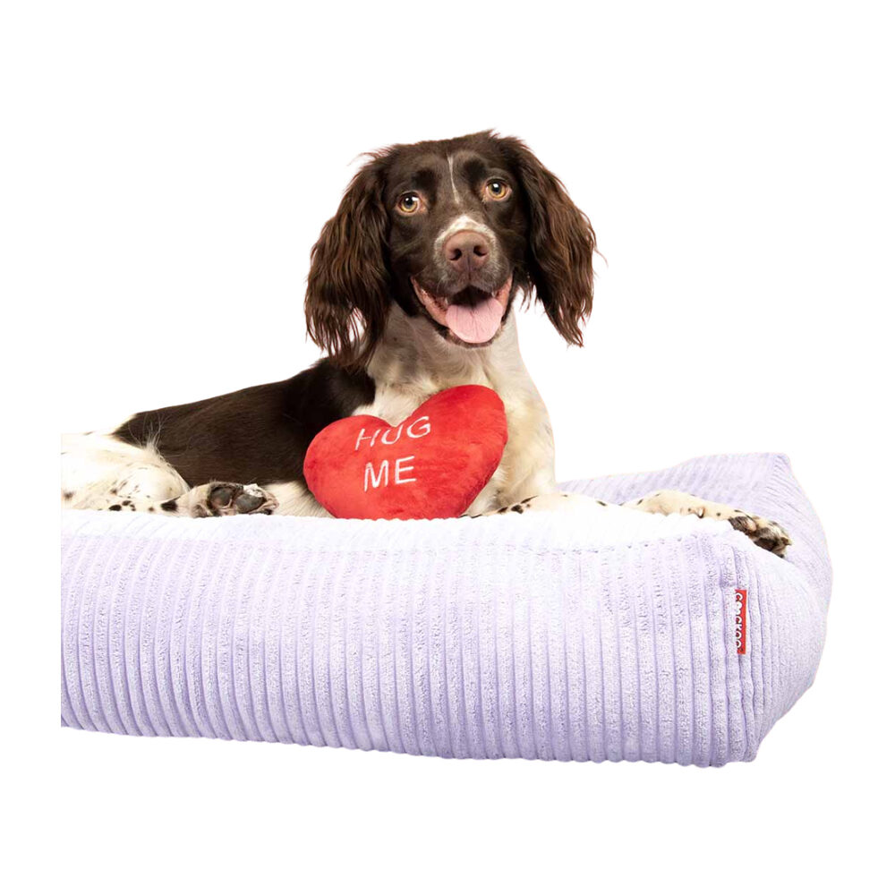 Coockoo Hug Me Dog Toy