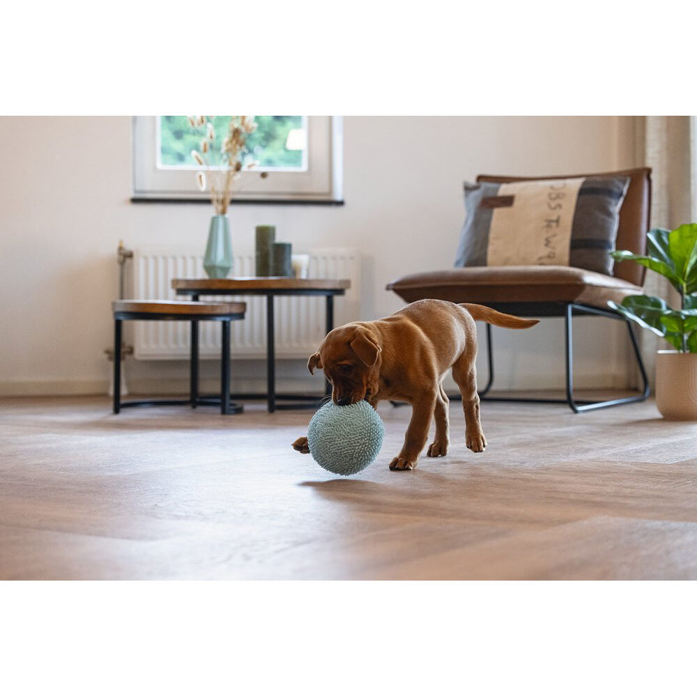 Beeztees Puppy Ball Lily - Blue - ø 10