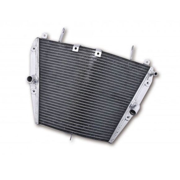 Brazoline adaptable water radiatorRef: RA5018