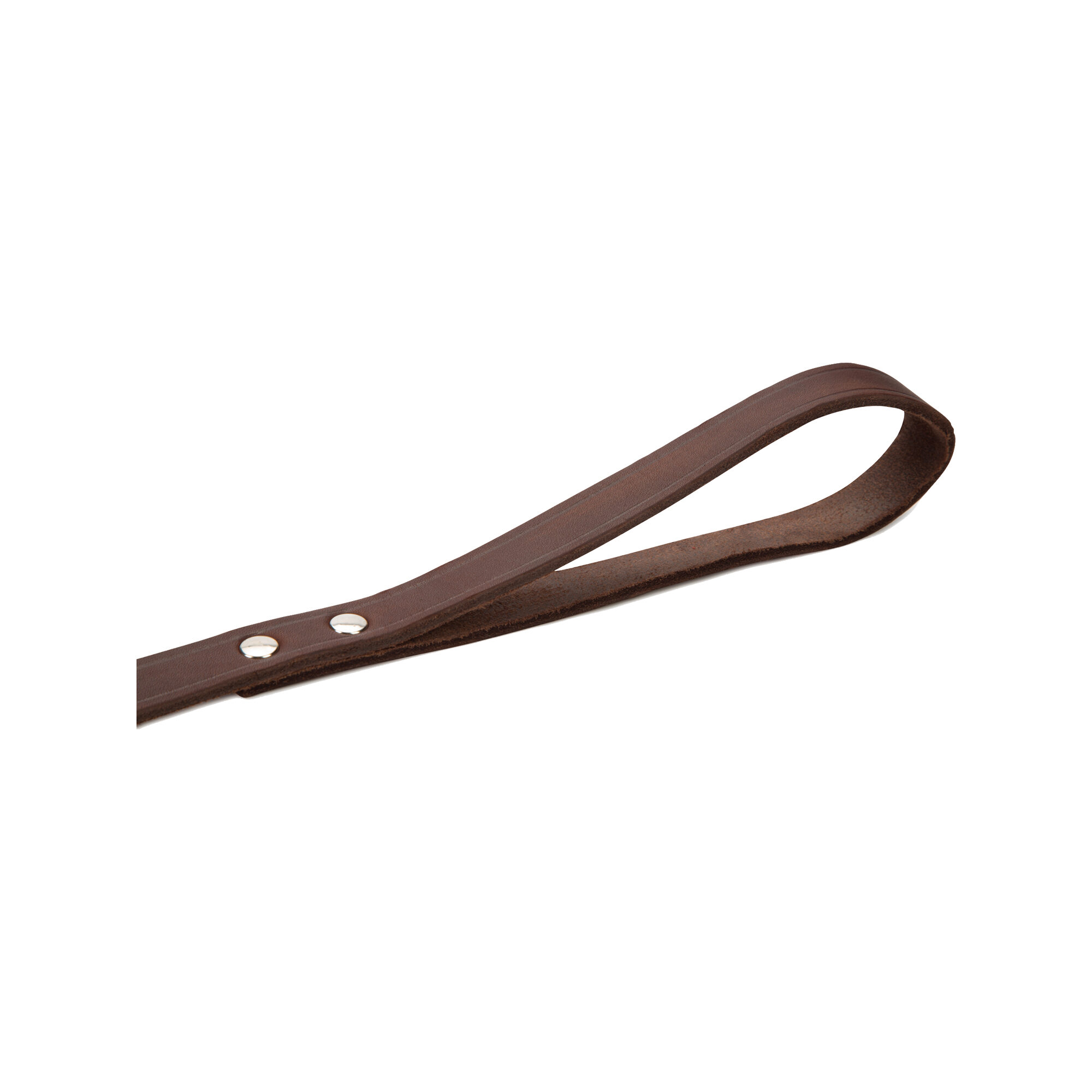 Beeztees Enjoy Dog Leash - Brown - 165cm x 12mm