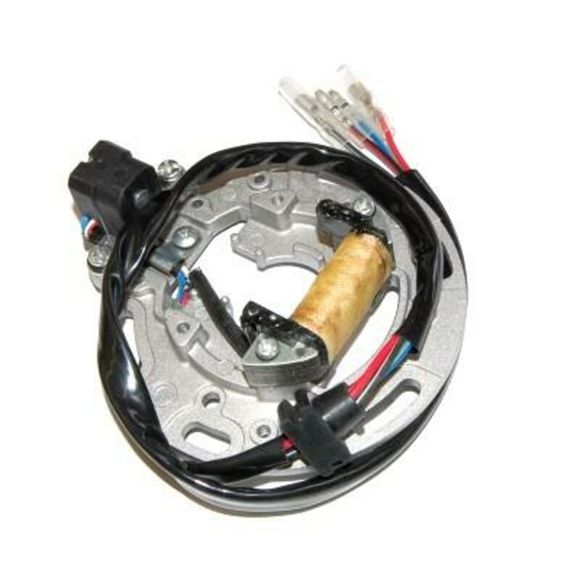 Stator d'allumage Electrosport Ref : ELS00246A / 1077966