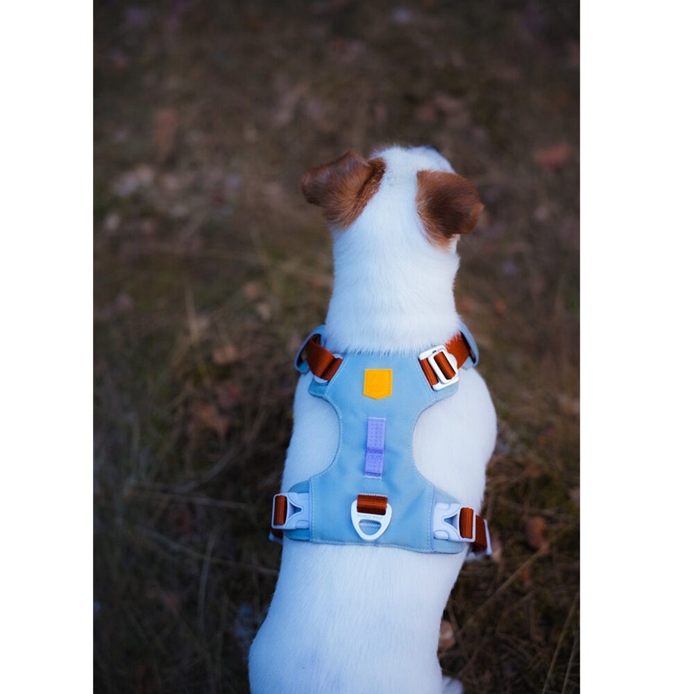 Alpha 360 Harness Glacier Green Mix - XS