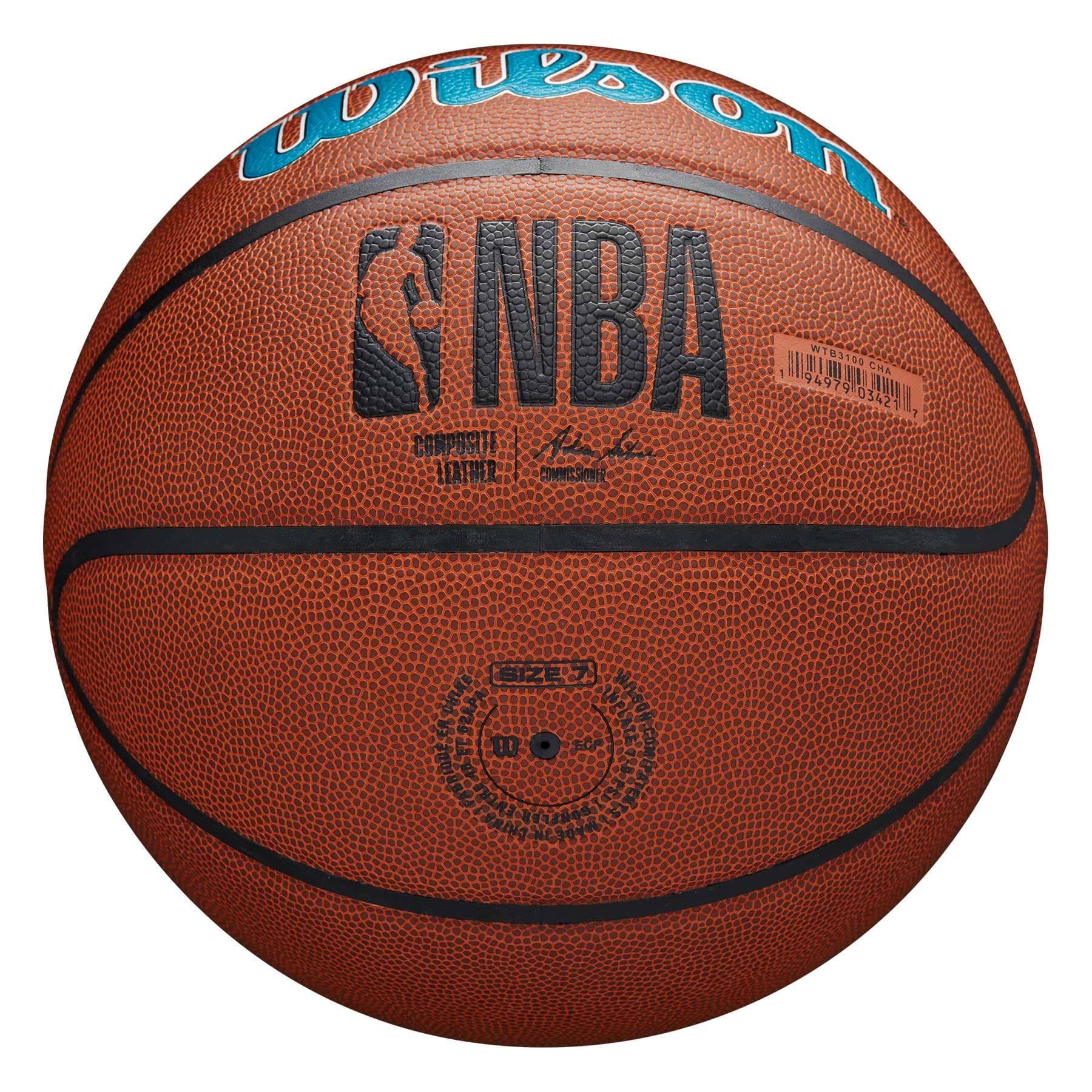 Charlotte Hornets Wilson Team Alliance Basketball (Size 7)