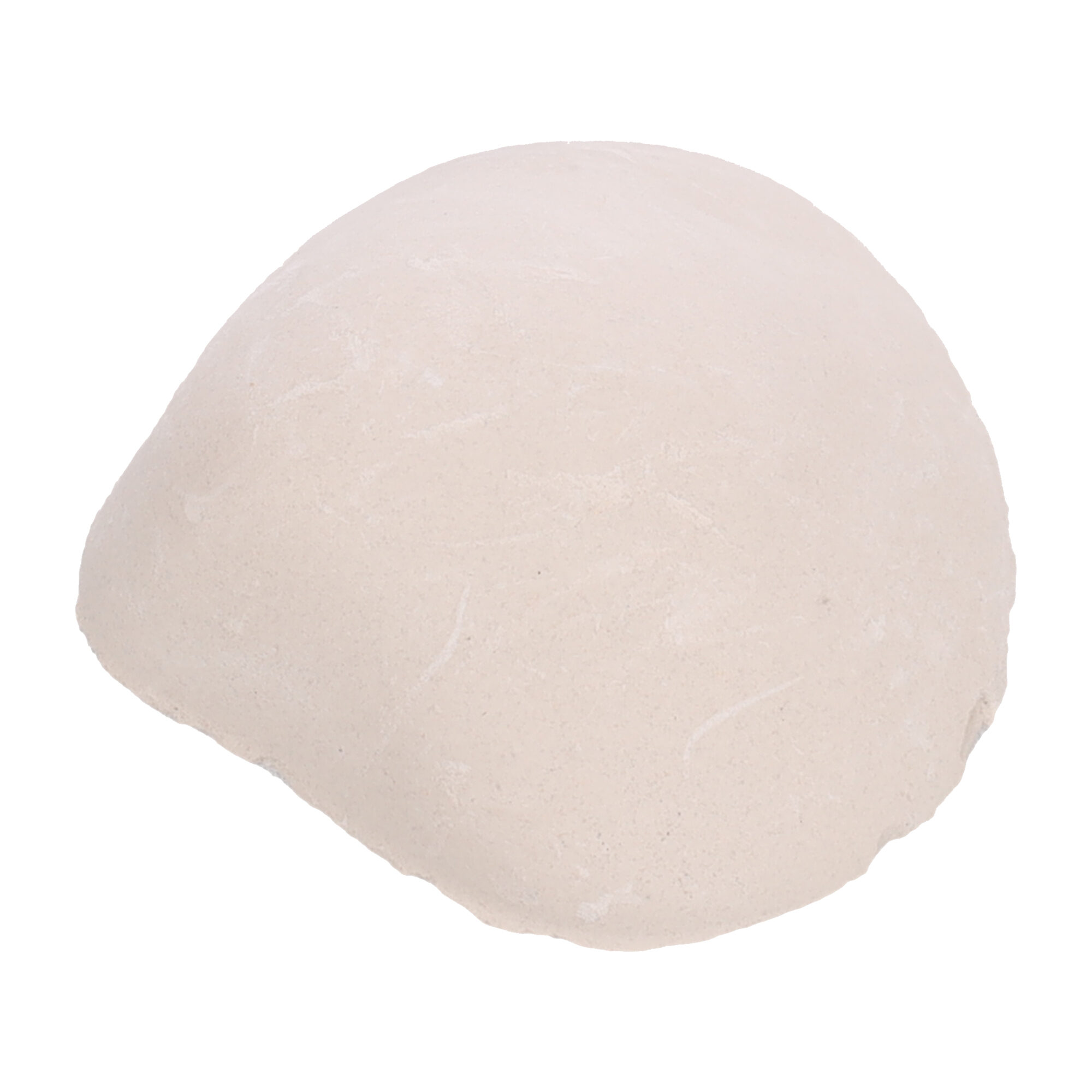 Flamingo Oxygen Shell Shelly