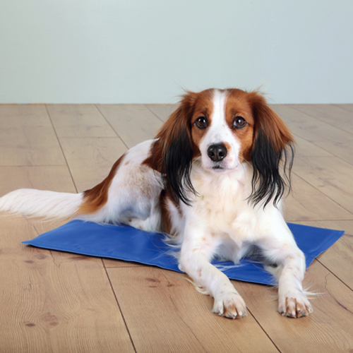 Trixie Cooling Mat - 40 x 30cm