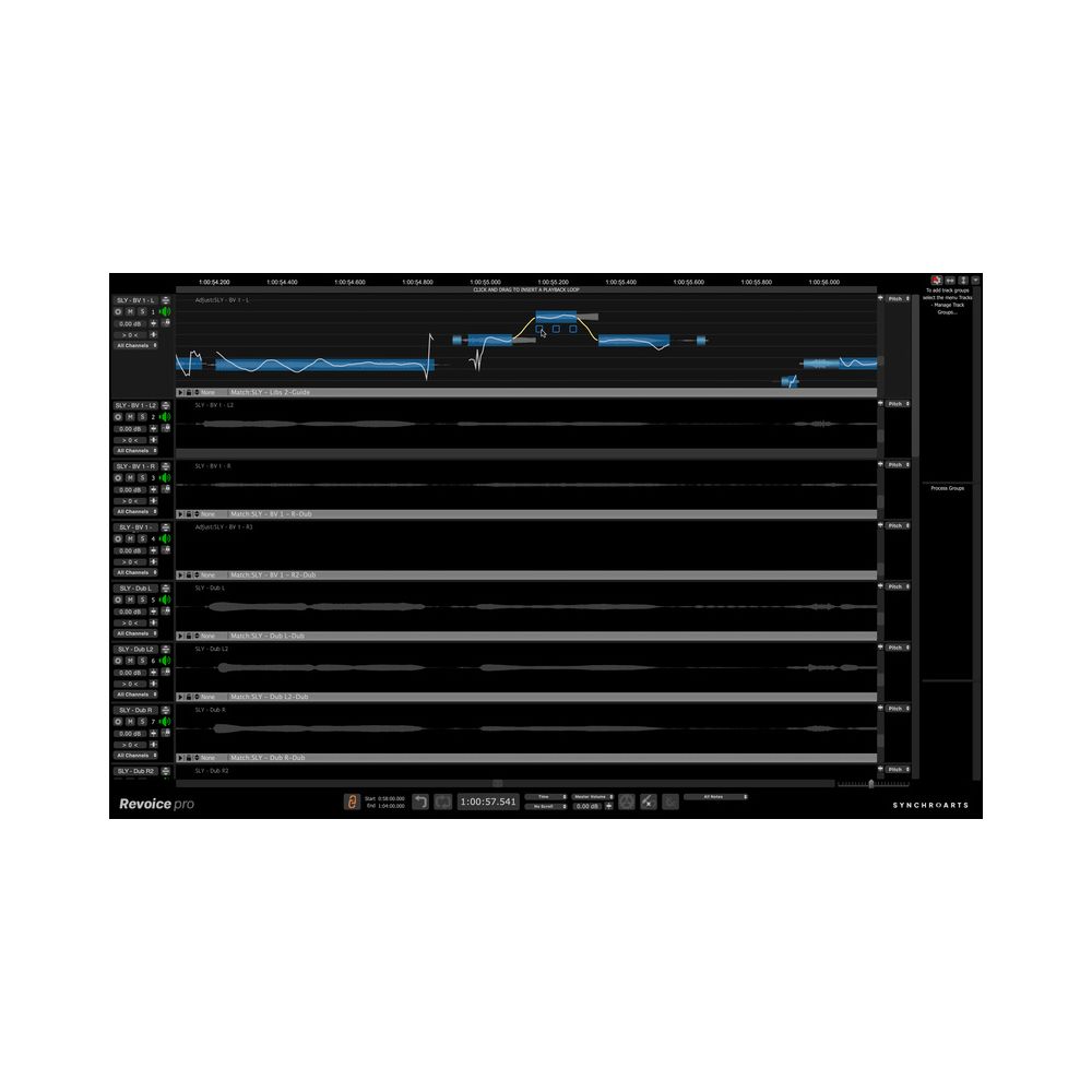Synchro Arts Revoice Pro – Thomann Ireland