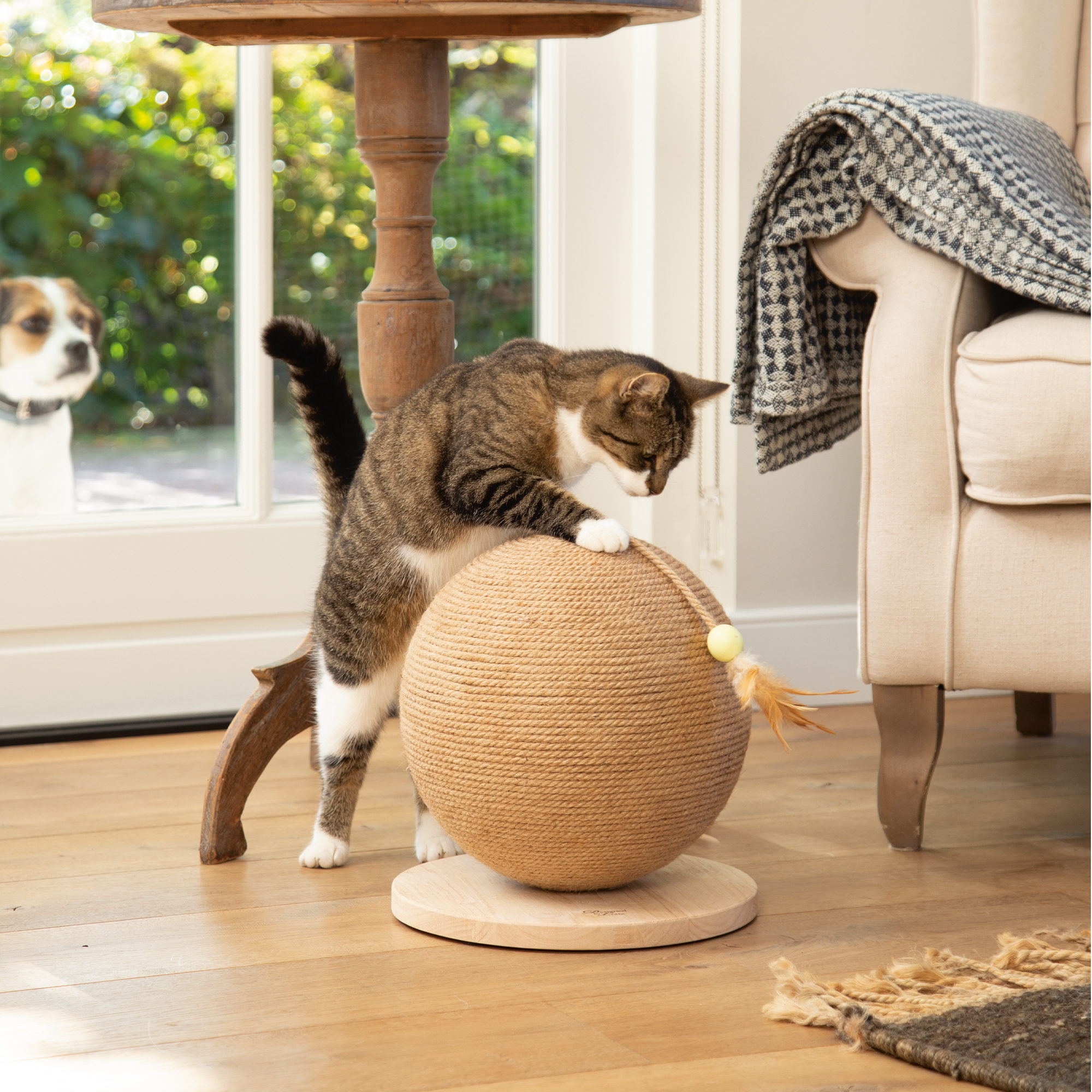 Designed by Lotte Scratching Ball Balty - L