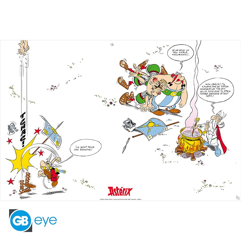 ASTERIX Poster FLYLEAF (91. x61)