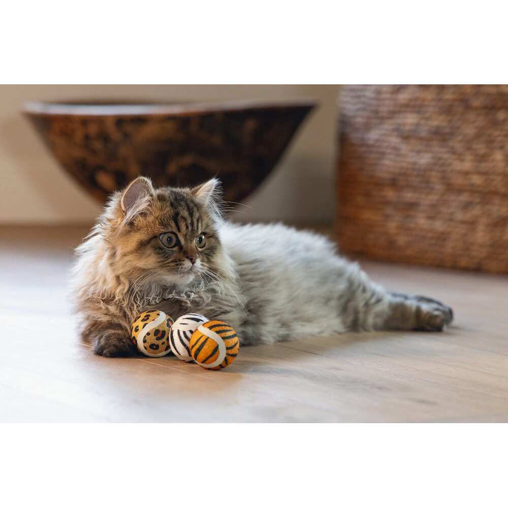 Beeztees Jungle Tennis Balls