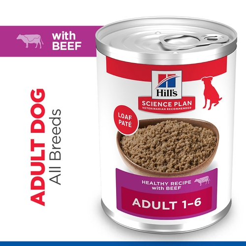 Hill's Science Plan Medium - Adult - Beef - 12 x 370 g