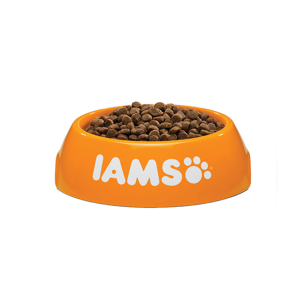 IAMS Kitten & Junior - 800 g