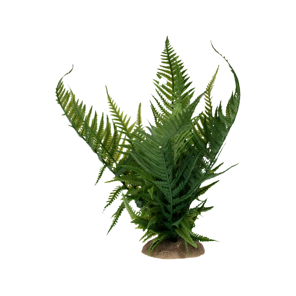 Terra Della Fern - M