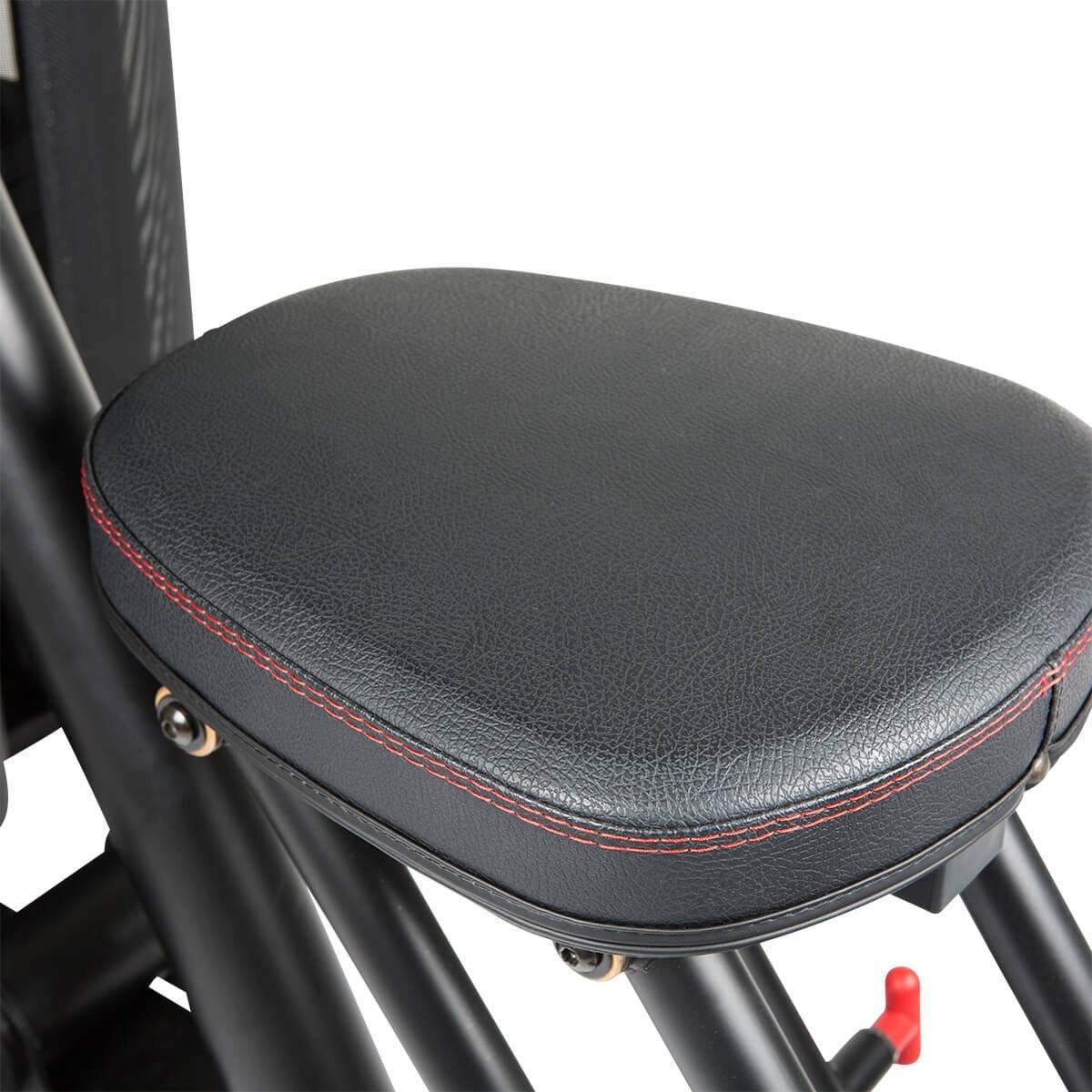 Dual Station Biceps/Triceps