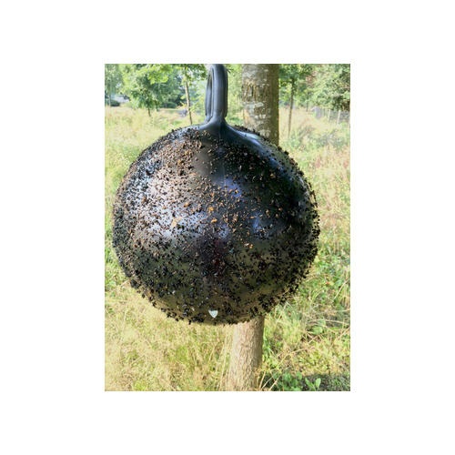 Horse Fly Trap Ball