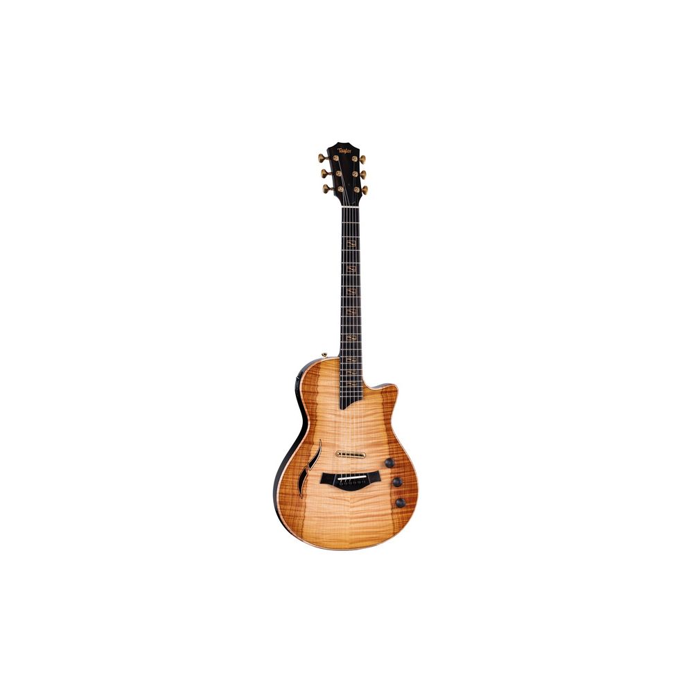 Taylor Custom #27: CT5z B5027 – Thomann Ireland