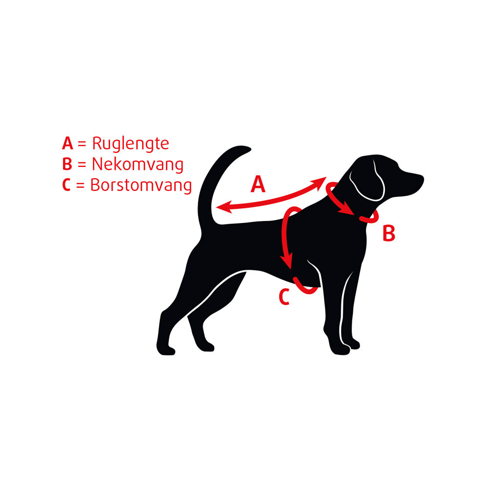 Beeztees Dog Collar Leather - Brown - 62cm x 25mm