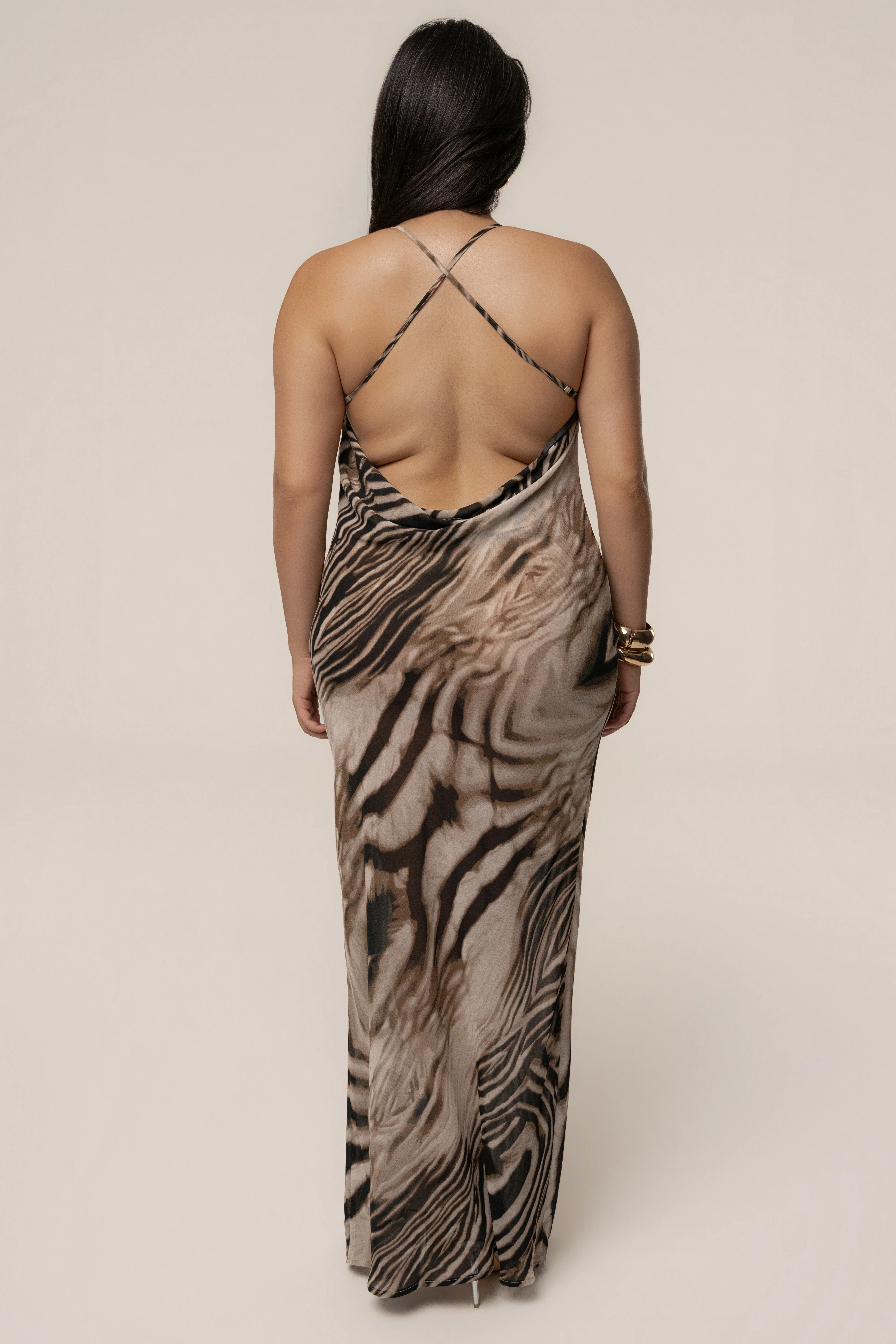 Brown Zebra Print Infinite Journey Maxi Dress