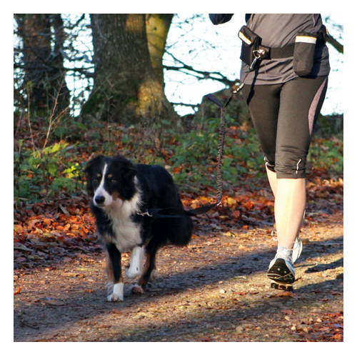 Trixie Waist Belt with Leash