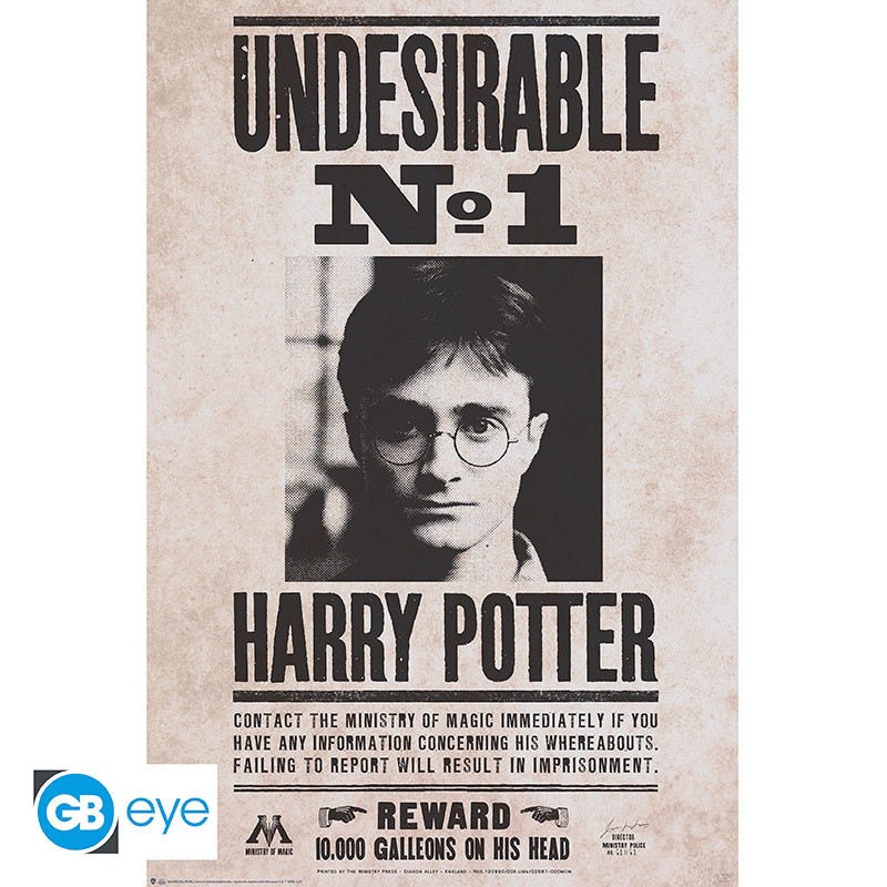 HARRY POTTER Poster Undesirable n°1 (91.5x61cm)