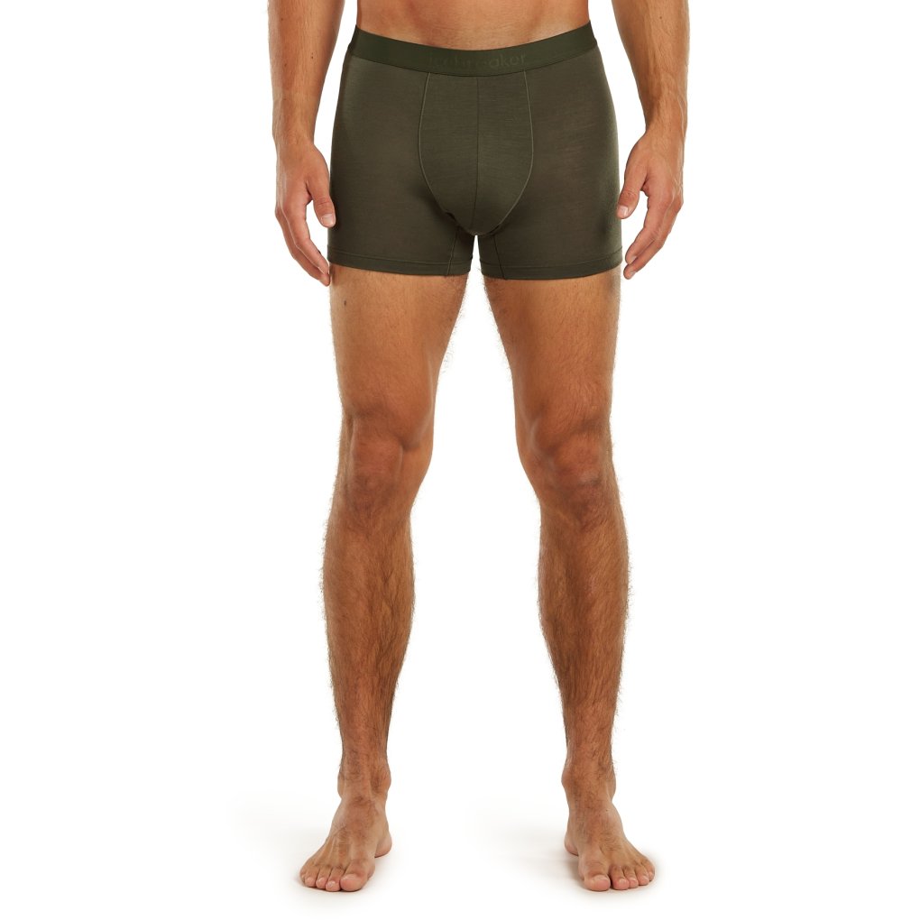 Icebreaker Merino 125 Cool-Lite™ Anatomica Boxers Men - Dark Loden