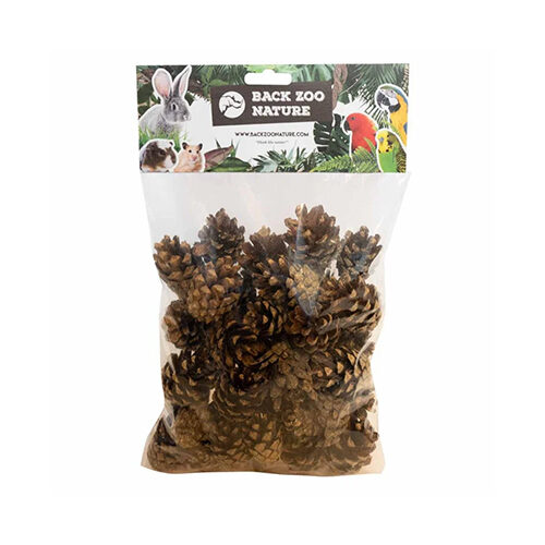 Back Zoo Nature Small Forest Pine Cones - 300 g