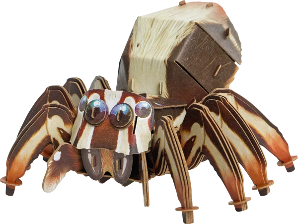 Make Bug JUMPING SPIDER D0054