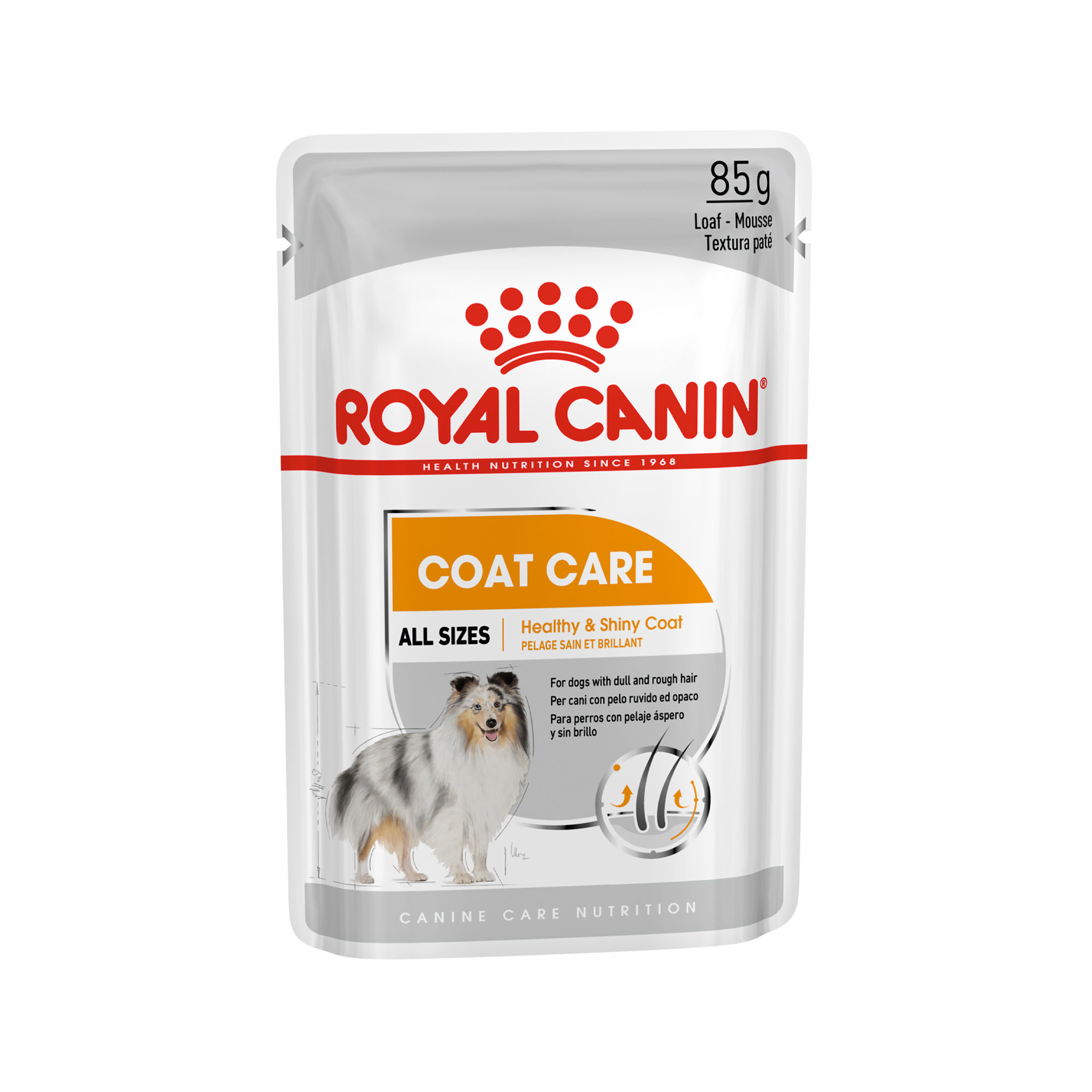 Royal Canin Coat Care Wet - 12 x 85g