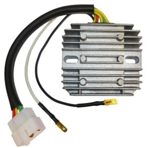 Tecnium by DZE Voltage RegulatorRef: Te02351A / 1078944