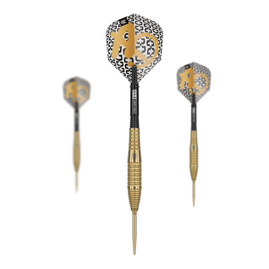 Target Bolide Envy 05 Swiss Point steel darts