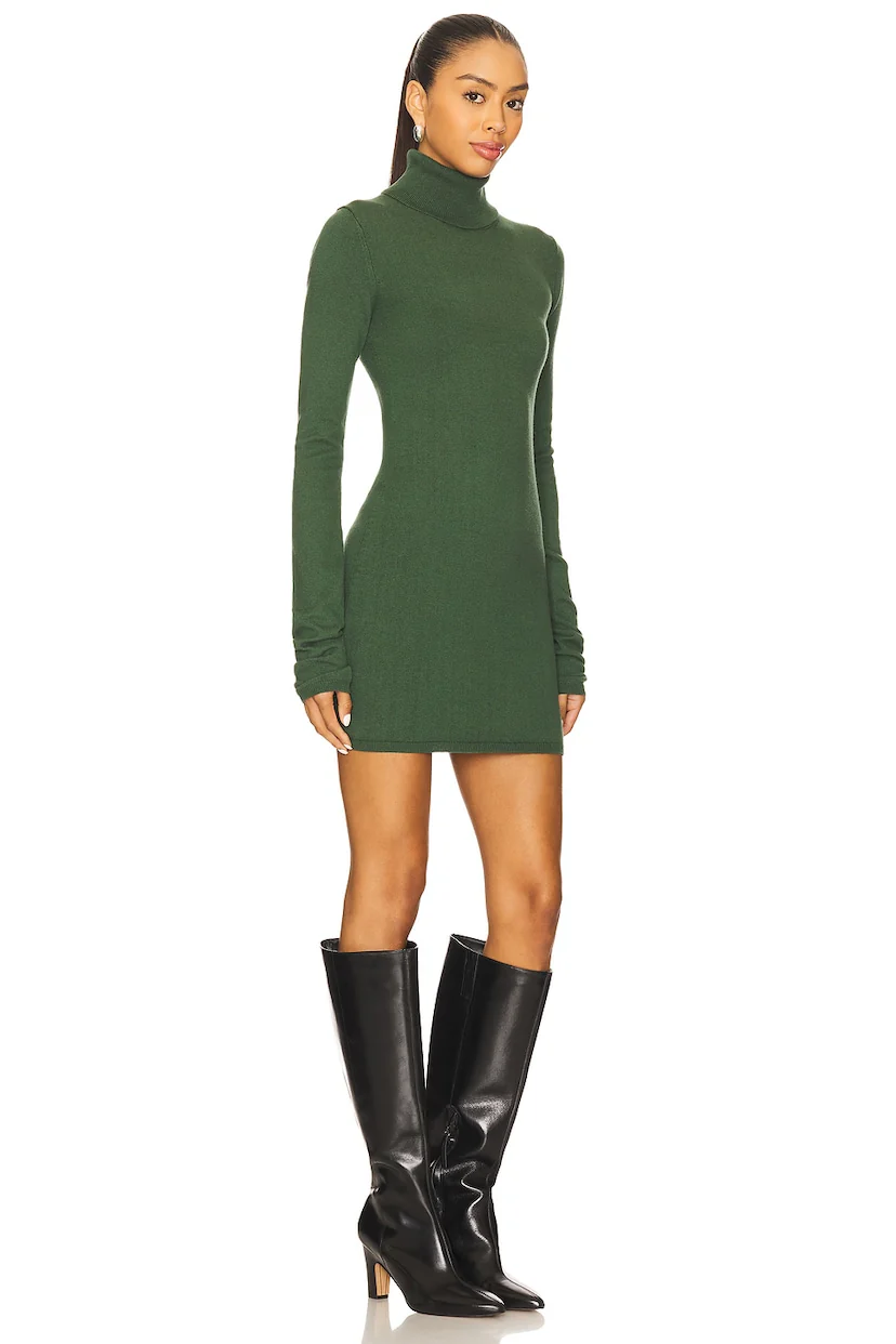 x REVOLVE Maurene Mini Dress