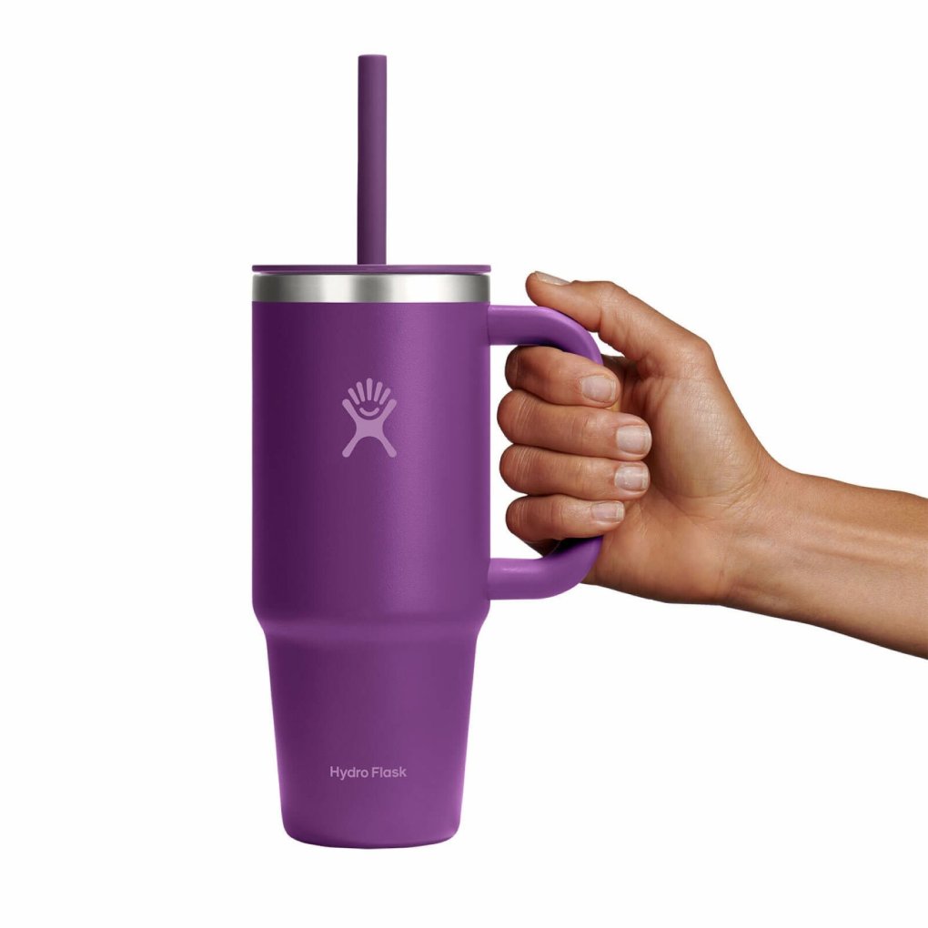 Hydro Flask 24oz All Around Travel Tumbler - 710ml - Beachplum Purple