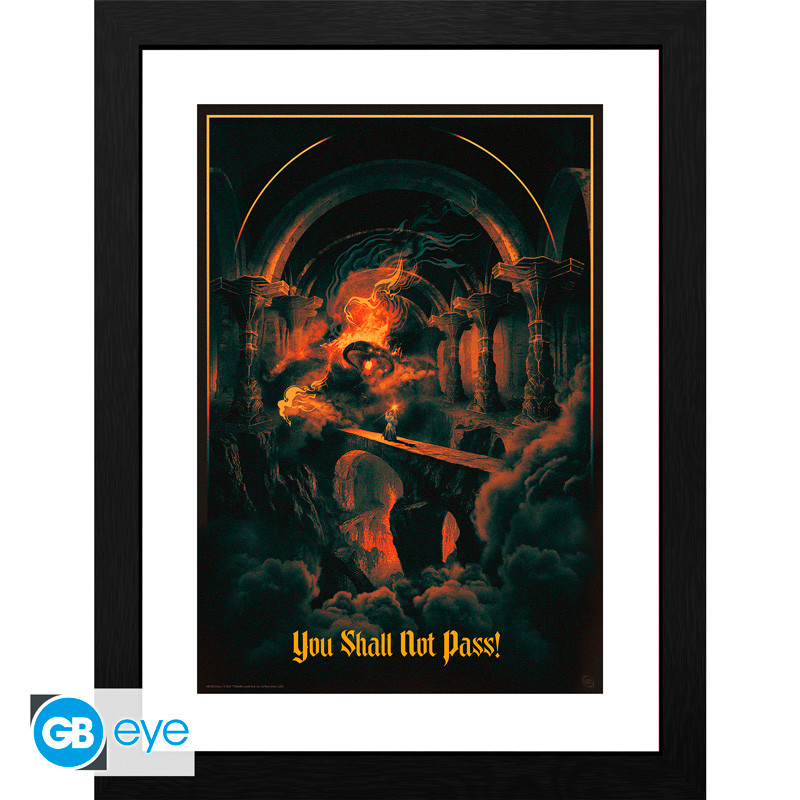 THE LORD OF THE RINGS Framed print You shall not pass