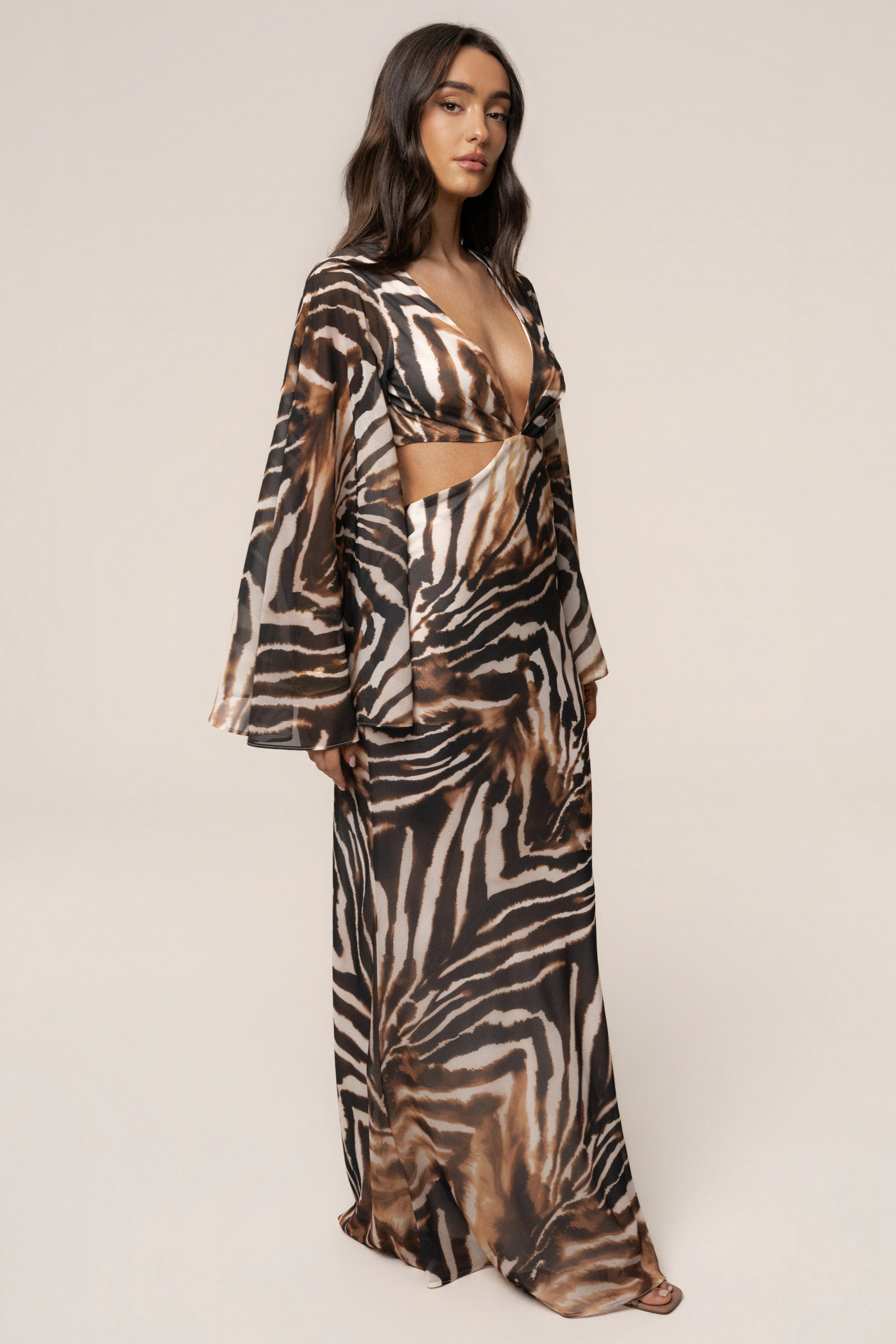 Brown Zebra Instincts Print Maxi Dress