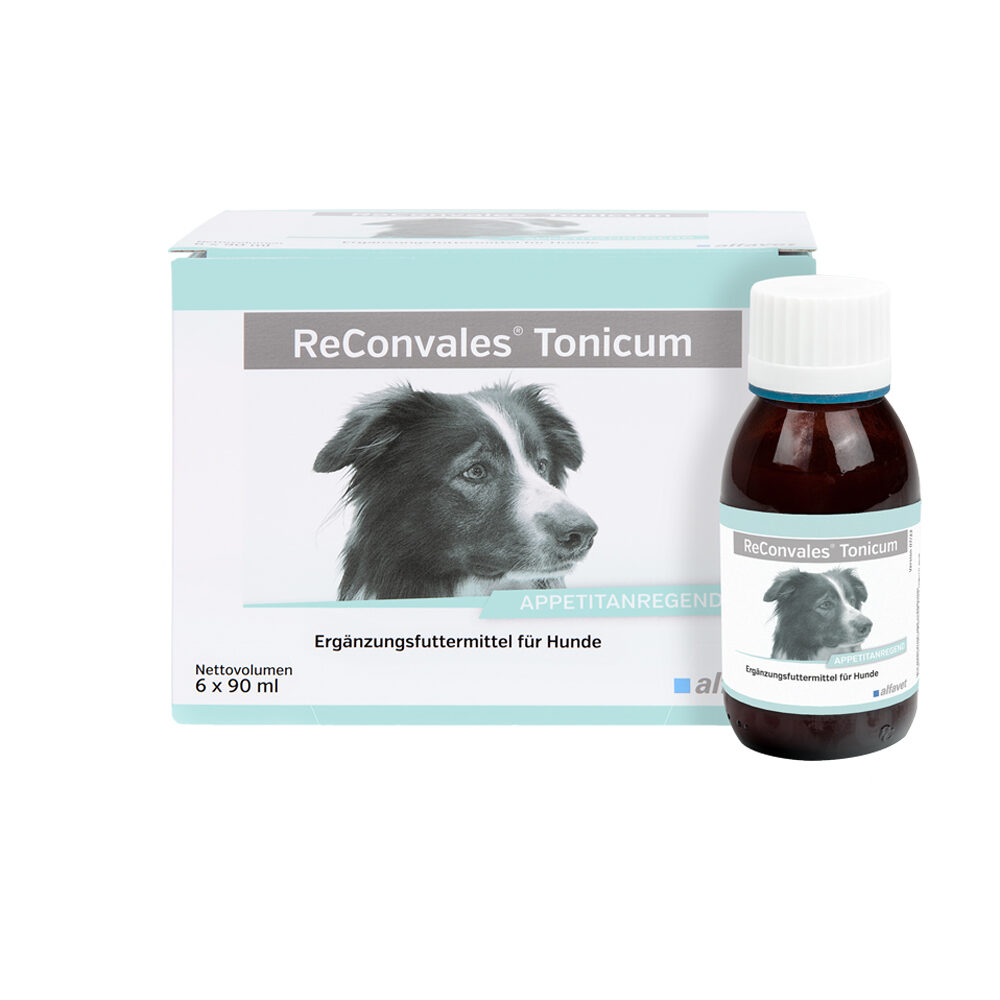 ReConvales Tonicum Dog - 6 x 90 ml