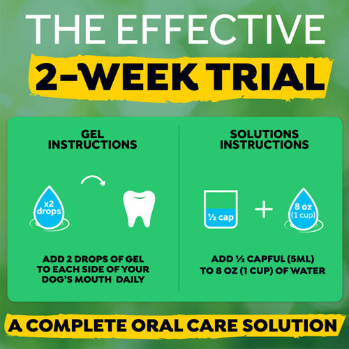 TropiCal - Fresh Breath Dental Trial Kit - Dog - 118 ml