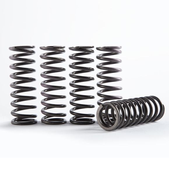 Hinson Clutch Springs Hi-Temp KitRef: HI00059A / 1127034
