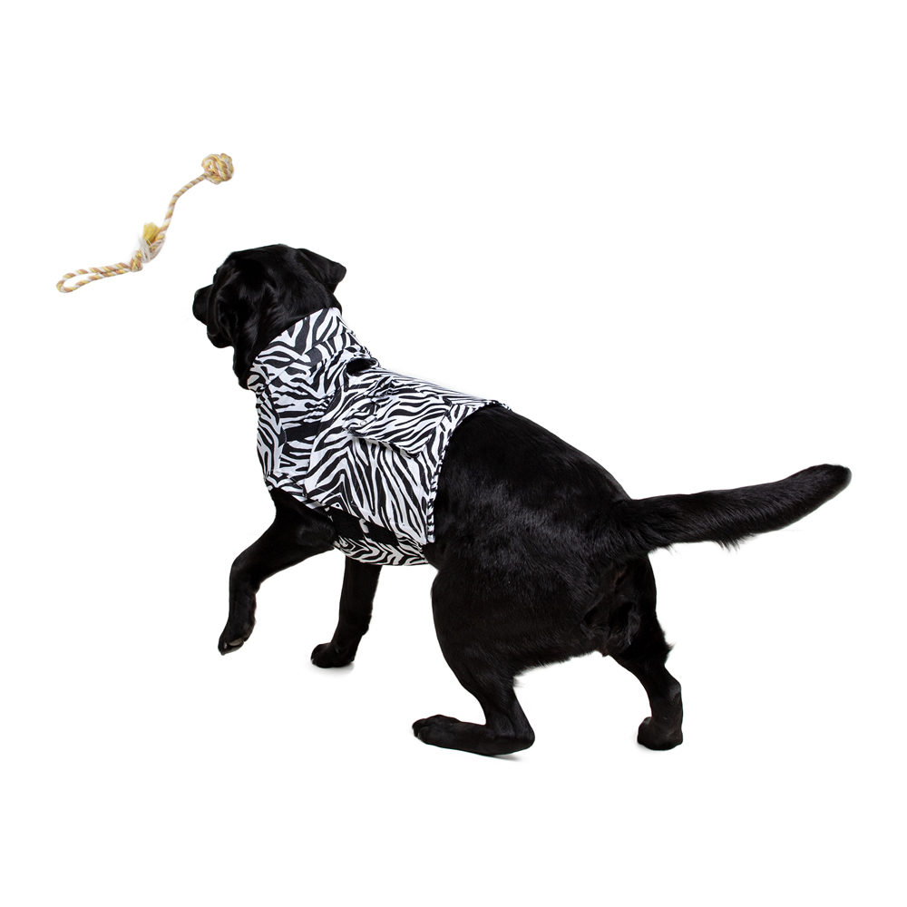 Medical Pet Top Shirt Zebra Print - M