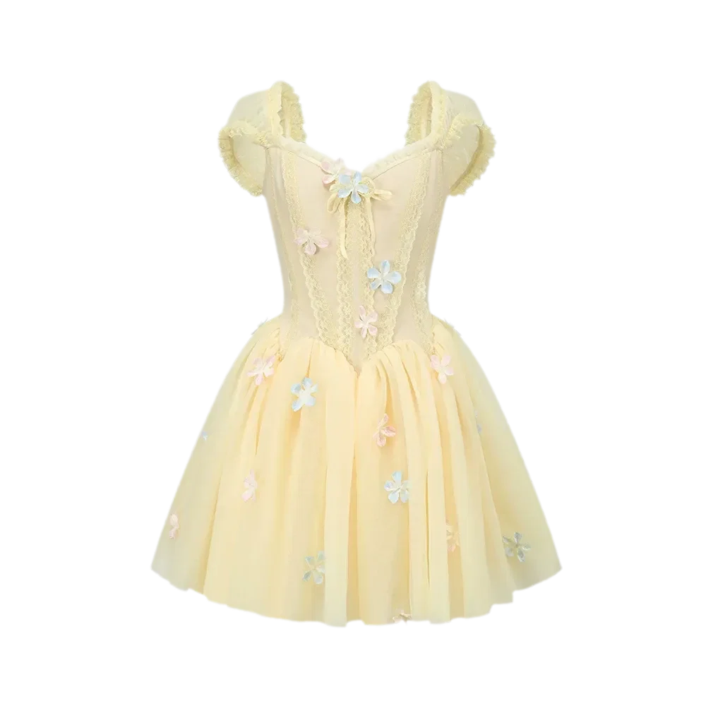Lace Corset Flared Dress