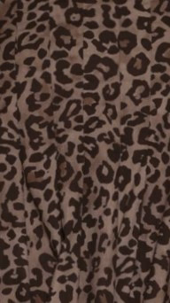 Pippa Maxi Dress - Leopard Print